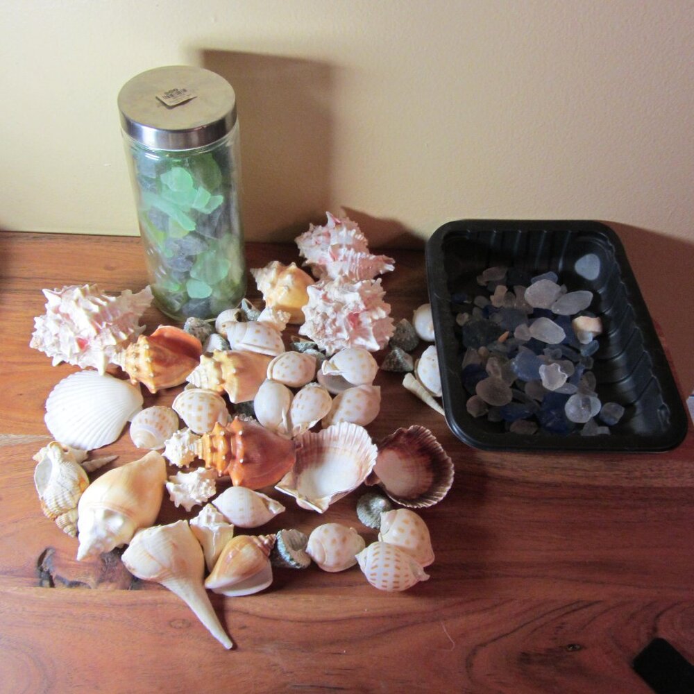 *SALE* 100+ sea shells & CB2 blue green sea glass ocean crafting (W3380)